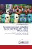 Tensions Amongst Collective Social Identities