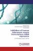 Telomerase and cancer therapy with nanoparticles