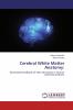 Cerebral White Matter Anatomy: