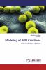 Modeling of AFM Cantilever