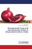 Pomegranate Crop and Geo-Economic Study in Dhule District (M.S.) India