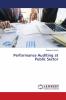 Performance Auditing at Public Sector