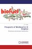 Prospects of Biodiesel in IC Engines