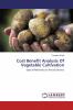 Cost Benefit Analysis Of Vegetable Cultivation