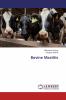 Bovine Mastitis