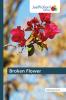 Broken Flower