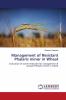 Management of Resistant Phalaris minor in Wheat