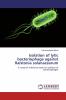 Isolation of lytic bacteriophage against Ralstonia solanacearum