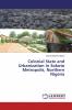 Colonial State and Urbanization in Sokoto Metropolis Northern Nigeria