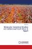 Molecular Genetical Studies on Cotton Leaf Curl Virus in Egypt