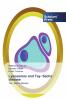 Lysosomes and Tay- Sachs disease