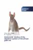 Anatomical studies of the digestive system of the african giant rat