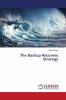The Backup Recovery Strategy