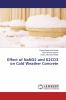 Effect of NaNO2 and K2CO3 on Cold Weather Concrete
