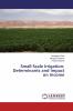 Small-Scale Irrigation: Determinants and Impact on Income