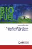 Production of Bioethanol from Corn Cob Wastes