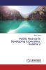 Public Finance in Developing Economies Volume 2