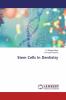 Stem Cells In Dentistry
