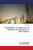 Possibilities to Optimize LV Network Investments in Rural Areas
