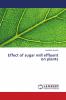 Effect of sugar mill effluent on plants