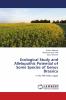 Ecological Study and Allelopathic Potential of Some Species of Genus Brassica