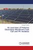An overview of Polymer Electrolyte Membrane Fuel Cell and PV modules