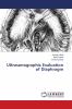 Ultrasonographic Evaluation of Diaphragm