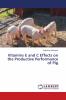 Vitamins E and C Effects on the Productive Performance of Pig