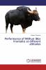 Performance of Mithun (Bos Frontalis) at different altitudes