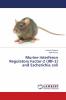 Murine Interferon Regulatory Factor-2 (IRF-2) and Escherichia coli