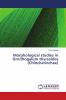 Morphological studies in Ornithogalum thyrsoides (Chincherinchee)