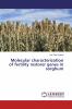 Molecular characterization of fertility restorer genes in sorghum