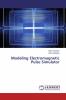 Modeling Electromagnetic Pulse Simulator