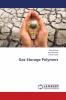 Gas Storage Polymers