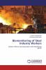 Biomonitoring of Steel Industry Workers