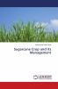 Sugarcane Crop and its Management