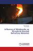Influence of Metakaolin on Phosphate Bonded Refractory Materials