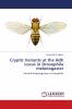 Cryptic Variants at the Adh Locus in Drosophila melanogaster