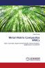 Metal Matrix Composites MMCs