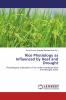 Rice Physiology as Influenced by Heat and Drought