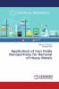 Application of Iron Oxide Nanoparticles for Removal of Heavy Metals