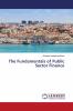 The Fundamentals of Public Sector Finance