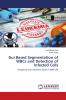 Gui Based Segmentation of WBCs and Detection of Infected Cells