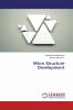 Micro Structure Development