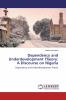 Dependency and Underdevelopment Theory: A Discourse on Nigeria