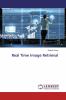 Real Time Image Retrieval