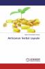 Anticancer herbal capsule