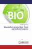 Bioplastics production from agricultural wastes
