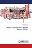 Solar and Biomass Based Power Plants