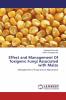 Effect and Management Of Toxigenic Fungi Associated with Maize